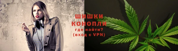 трава Аркадак