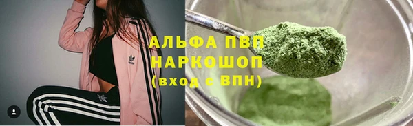 трава Аркадак